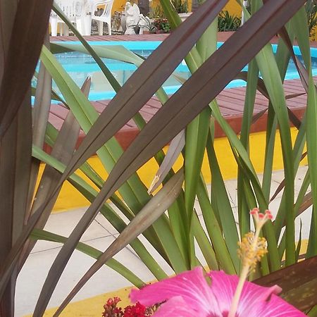Casa Pousada Rosa Dos Ventos Florianópolis Eksteriør billede